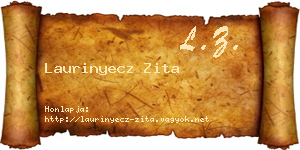 Laurinyecz Zita névjegykártya